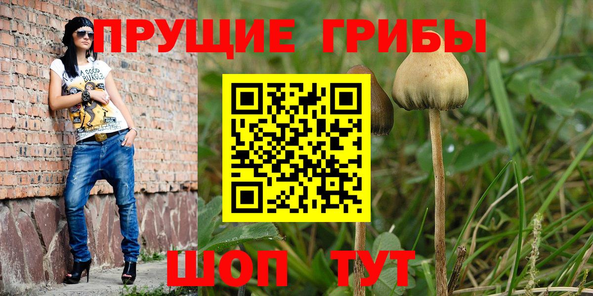 Галлюциногенные грибы Psilocybe  Вход с VPN  Щёлково 